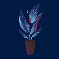 Mysterious plant with stars on the leaves on a dark blue background. Vector illustration